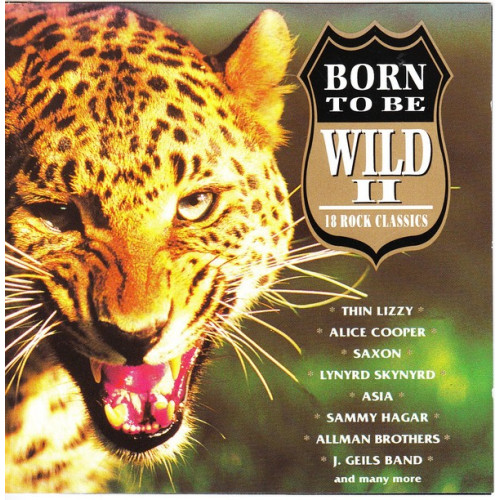 Born to be Wild II - 18 Rock Classics