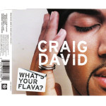 David Craig - What' s your Flava - Four times a lady - Nobody has to know