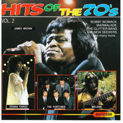 Hits of the 70 s - Vol. 2 ( Success Recods )
