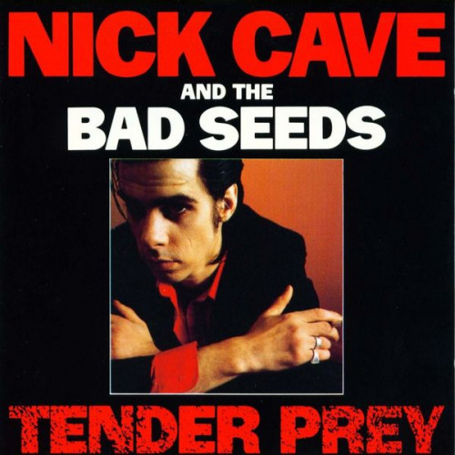 Cave Nick & The Bad Seeds - Tender Prey