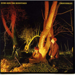 Echo & The Bunnymen - Crocodiles