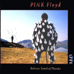 Pink Floyd - Delicate Sound Of Thunder Live ( 2 cd )