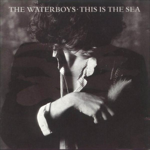 Waterboys,The - This Is The Sea