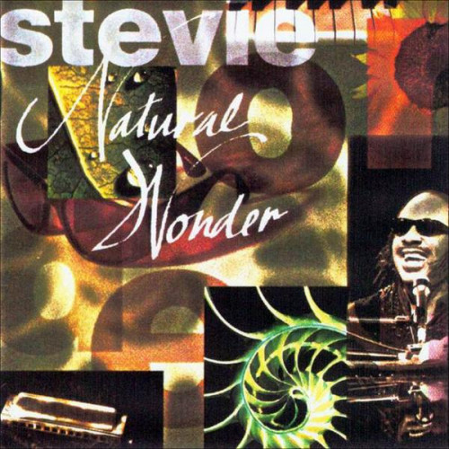 Wonder Stevie - Natural Wonder ( 2 cd )