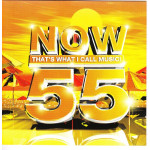 Now 55 - That s what i call music - 42 Top Chart hits - 2003 ( 2 cd )