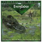 Relaxing series - Everglades - Music & Sounds of Nature