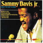 Sammy Davis jr. - What i ve got in mind ( Success Records )