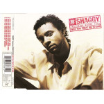 Shaggy - Why you treat me so bad ( Grand Puba )